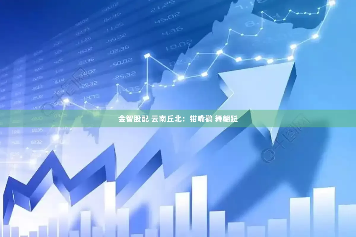 金智股配 云南丘北：钳嘴鹳 舞翩跹