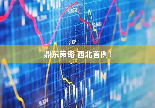 鼎东策略 西北首例！